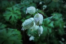 DSCF7447 (2).webp
