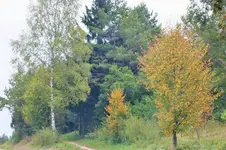 DSCF7420 (2).webp