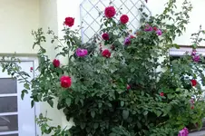 2016_0916sept160004.webp