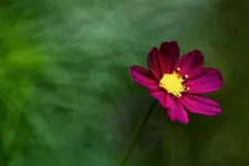 _MG_5378.webp