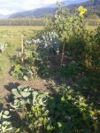 20160921_171845.jpg