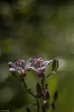 IMG_7115.jpg