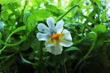 DSCF7454 (2).webp