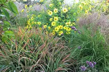 DSCF7460 (2).webp