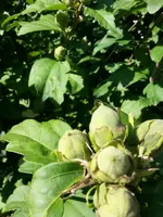 02_20160922_110847_resized.webp