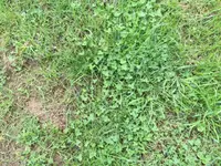 IMG_1726.JPG
