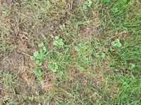 IMG_1729.JPG