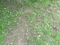 IMG_1731.webp