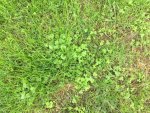 IMG_1732.JPG