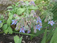 011.webp
