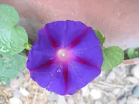 015.webp
