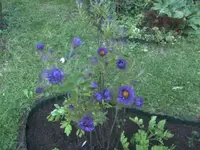 BILD5872.webp