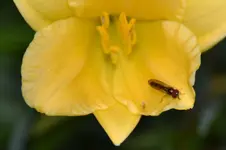 DSC_6113.webp