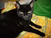 IMGP3787.webp