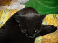 IMGP3785.webp