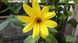 SAM_1534 (3).webp