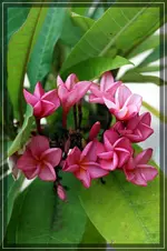 comp_DSC01898.webp