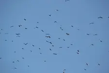 DSC_1642.jpg