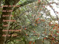 Herbstzauber v.webp