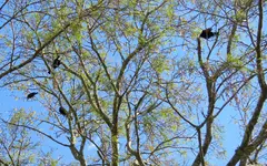 IMG_6624 v (1).webp