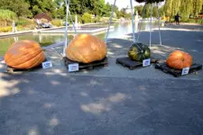 2016-09-23-9566 - Kopie.webp