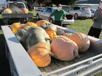 IMG_2741 (1).webp