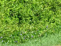 IMG_6619 v (1).webp