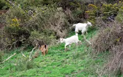IMG_5682 v (1).webp
