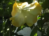 BILD5874.webp