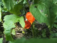 BILD5797.webp