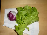 P1020194.jpg