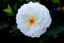 2016-09-23-9563.webp
