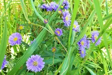 DSCF7495 (2).webp