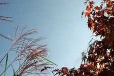 DSCF7491 (2).webp