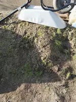 IMG_20160926_165200.webp
