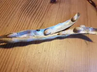 geöffnete Hülse.webp