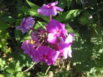 IMG_7402.jpg