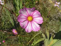IMG_7405.jpg