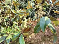IMG_20160927_150025.webp