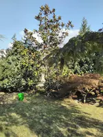 IMG_20160927_150438.webp