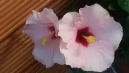 20160827_154341.webp