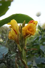 _DSC1053.webp