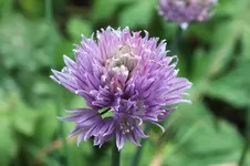 DSCF7515 (2).webp