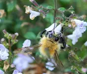 DSCF7508 (3).webp