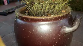 IMG-20160928-WA0006.webp