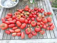 DSCN4602.jpg