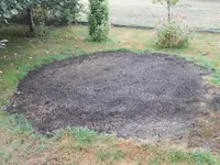 DSCN4600.jpg