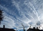 DSCF7561 (5).JPG
