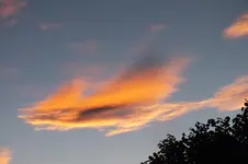 DSCF7563 (2).webp