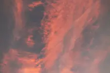 DSCF7566 (2).webp